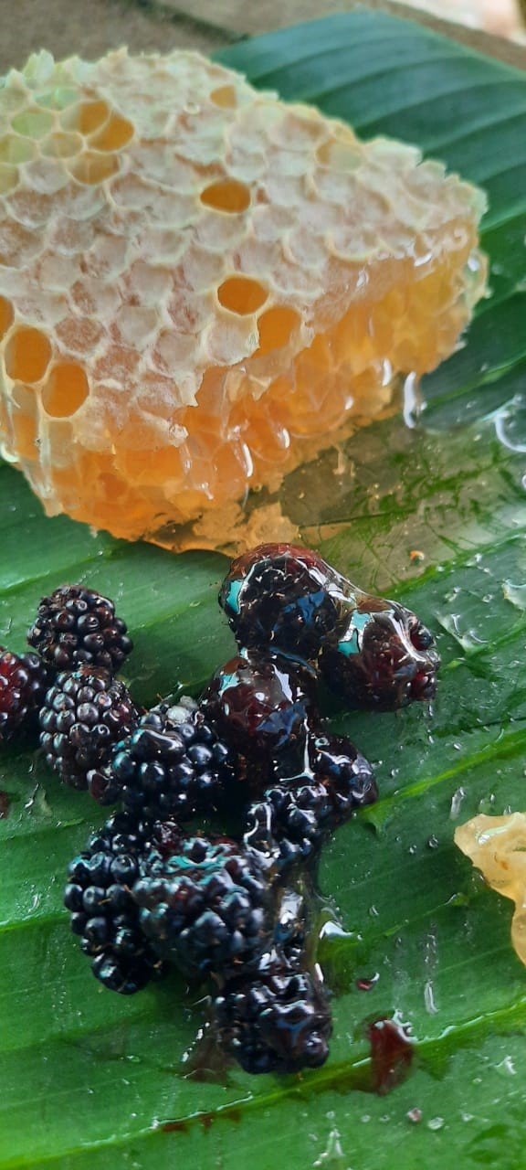abeja1