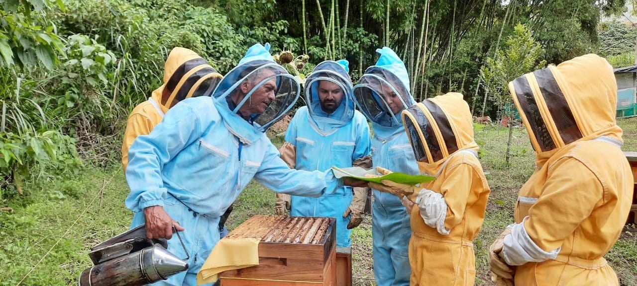 abeja2